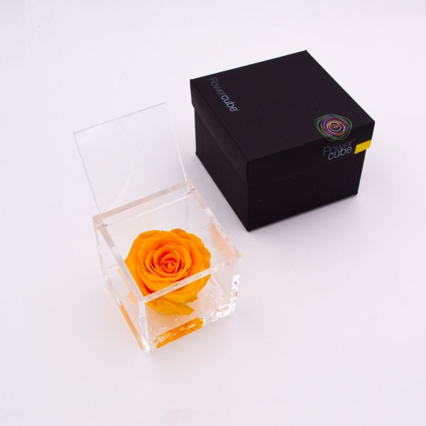 Flowercube | Rosa stabilizzata colore giallo (8x8 cm) 