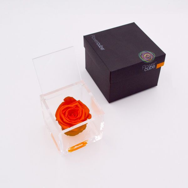 Flowercube | Rosa stabilizzata colore arancio (8x8 cm) 