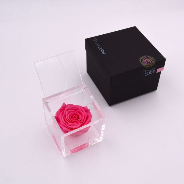 Flowercube | Rosa stabilizzata colore rosa (8x8 cm) 