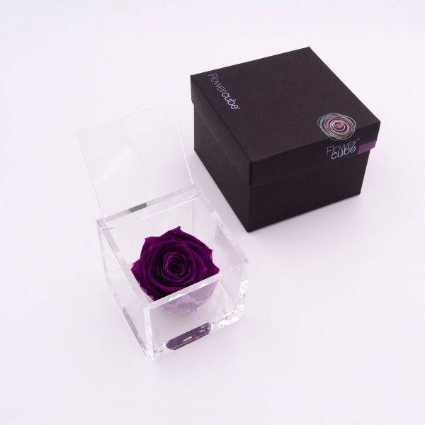 Flowercube | Rosa stabilizzata colore viola (8x8 cm)