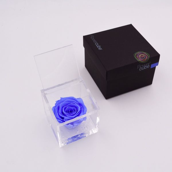 Flowercube | Rosa stabilizzata colore azzurro (8x8 cm)