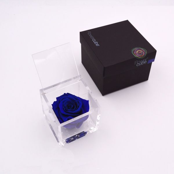 Flowercube | Rosa stabilizzata blu (8x8 cm) 