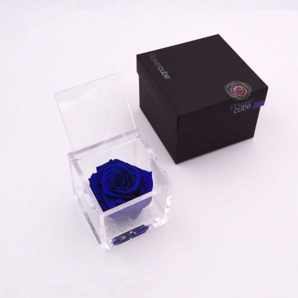 rosa-stabilizzata-blu-10x10cm