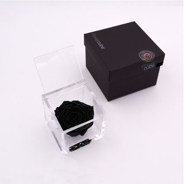 Flowercube | Rosa stabilizzata nera (8x8 cm) 