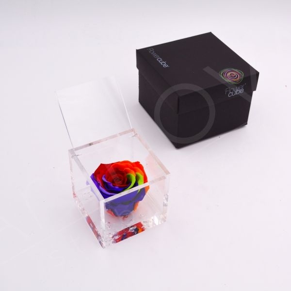 Flowercube | Rosa stabilizzata rainbow (8x8 cm)