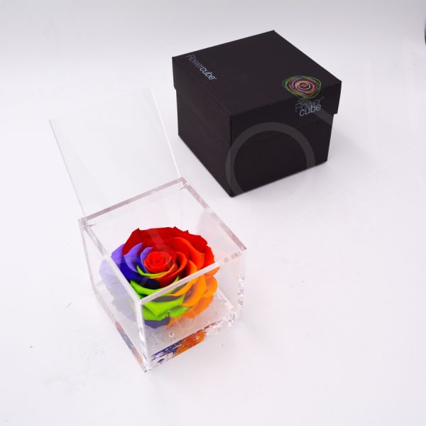 Flowercube | Rosa stabilizzata rainbow (10x10 cm)