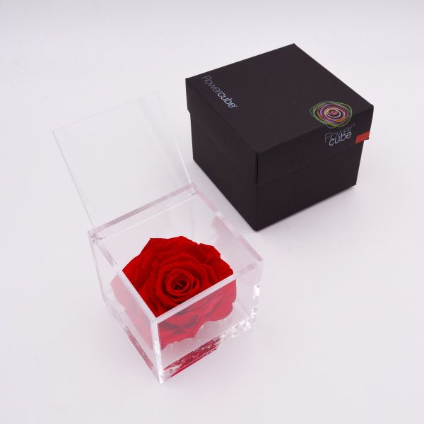 Flowercube | Rosa stabilizzata rossa (12x12 cm) 