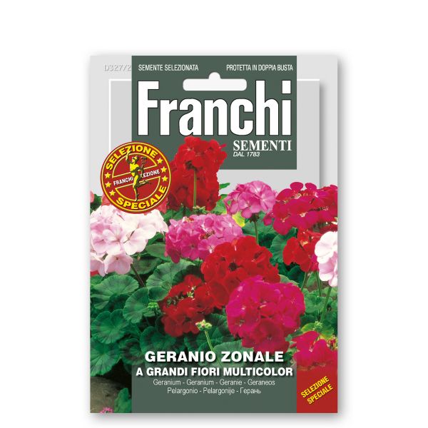 Geranio zonale a grandi fiori multicolor semi