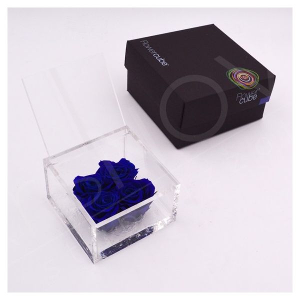 flowercube 4 rose stabilizzate blu 15x15x8cm