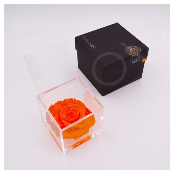 flowercube rosa stabilizzata colore arancio 10x10cm
