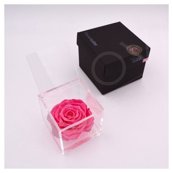 flower cube rosa stabilizzata colore rosa 10x10cm