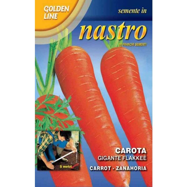 Carota-flakkee-2-Nastri