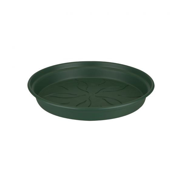 Green Basic Saucer 14 Leaf Green vaso