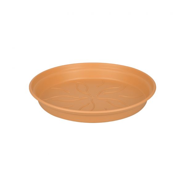 Green Basic Saucer 29 Mild Terra vaso