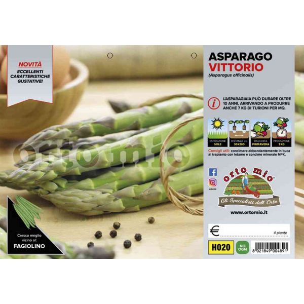 asparago-verde-vittorio-8021849004891