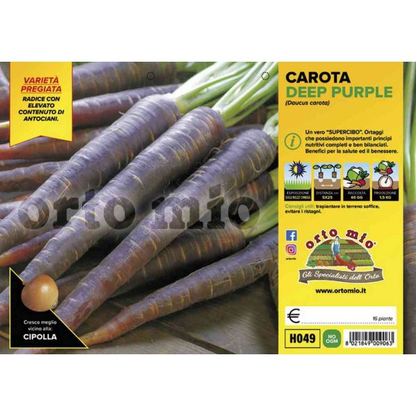 carota-viola-deep-purple-8021849009063