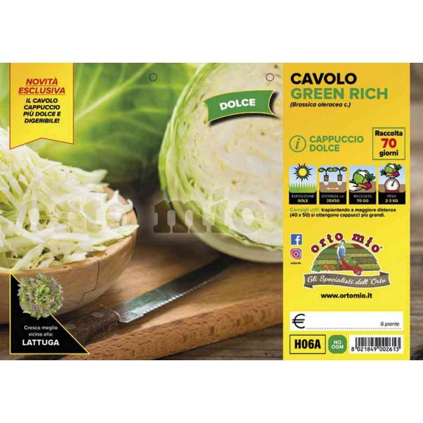 cavolo-cappuccio-green-rich-8021849002613