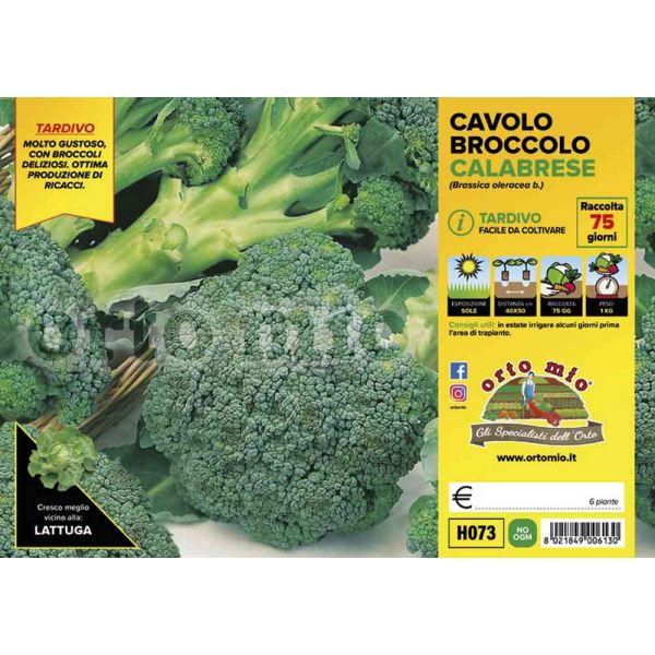 cavolo-broccolo-marathon-8021849006130