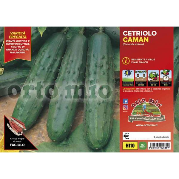 cetriolo-caman-8021849006369