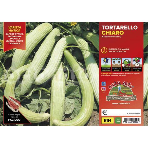 cetriolo-tortarello-chiaro-8021849009087