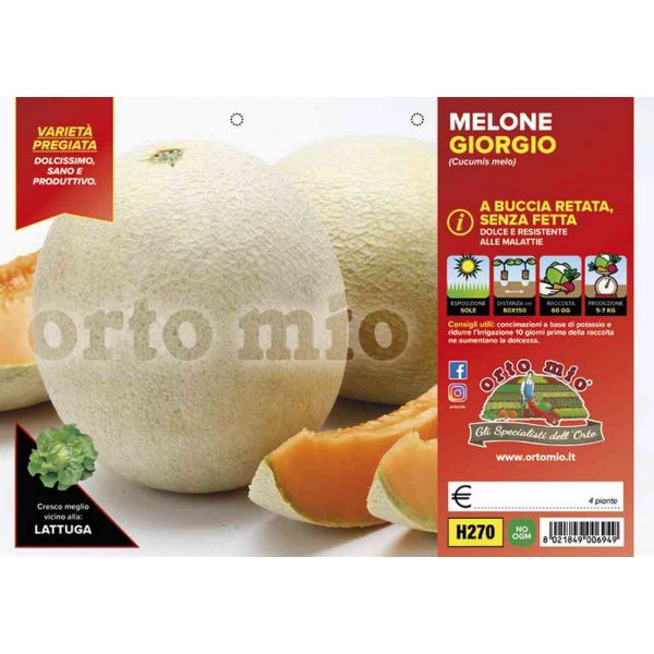 melone-retato-senza-fetta-8021849006949