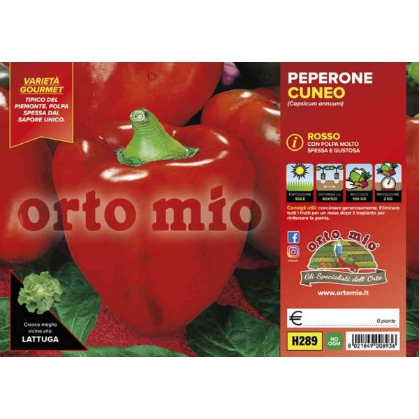 peperone-cuneo-rosso-8021849008936