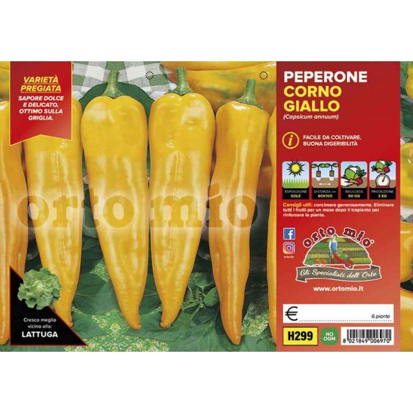 peperone-giallo-astor-8021849006970