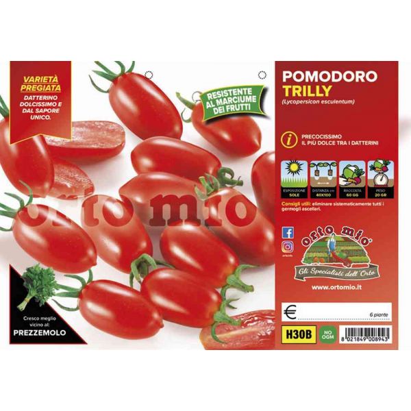 pomodoro-datterino-trilly-8021849008943