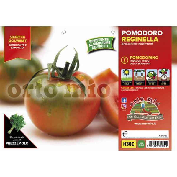 pomodoro-sardo-reginella-8021849009001