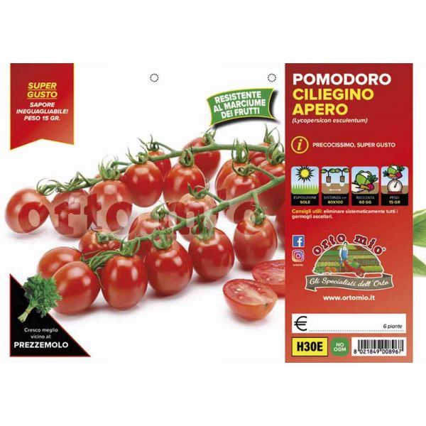 pomodoro-ciliegino-dolcissimo-apero-8021849008967