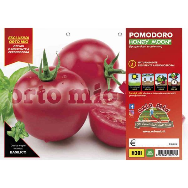 pomodoro-tondo-honey-moon-8021849002576