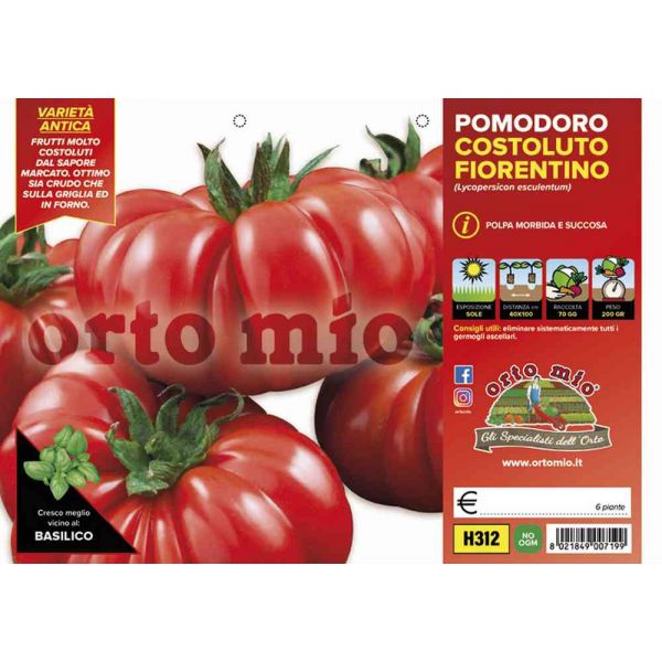 pomodoro-costoluto-fiorentino-8021849007199