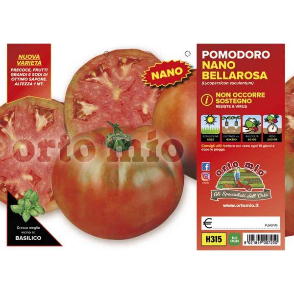 pomodoro-tondo-nano-bellarosa-8021849007250