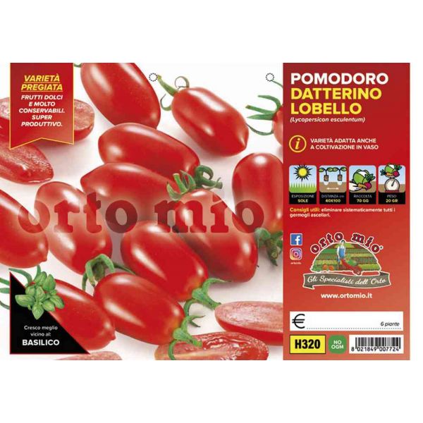 pomodoro-datterino-lobello-8021849007724