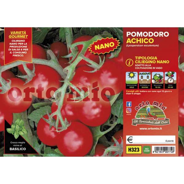 pomodoro-ciliegino-nano-achico-8021849007748