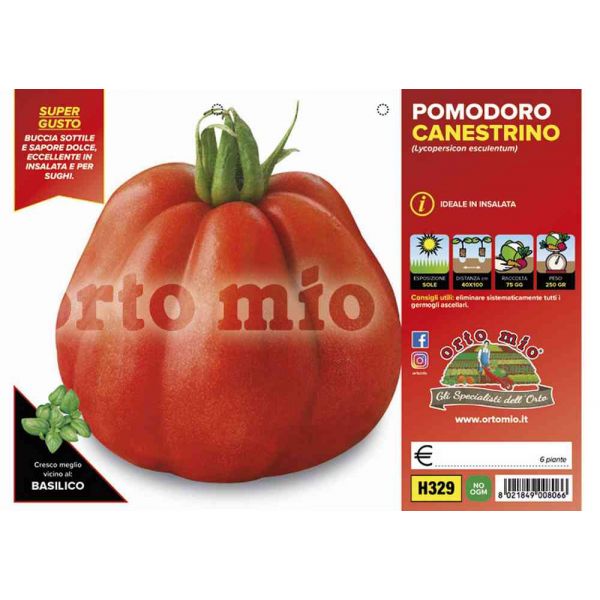 pomodoro-canestrino-di-lucca-8021849008066
