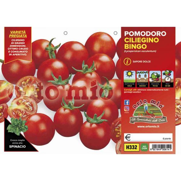 pomodoro-ciliegino-bingo-8021849008141
