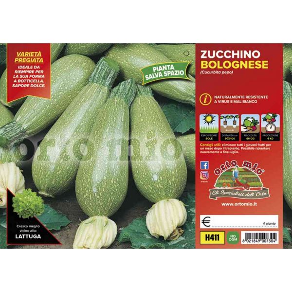 zucchino-bolognese-shorouk-8021849007304
