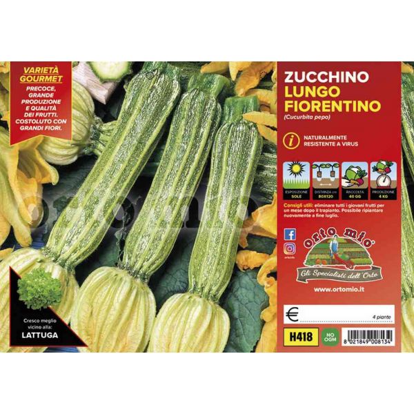 zucchino-lungo-fiorentino-tirreno-8021849008134
