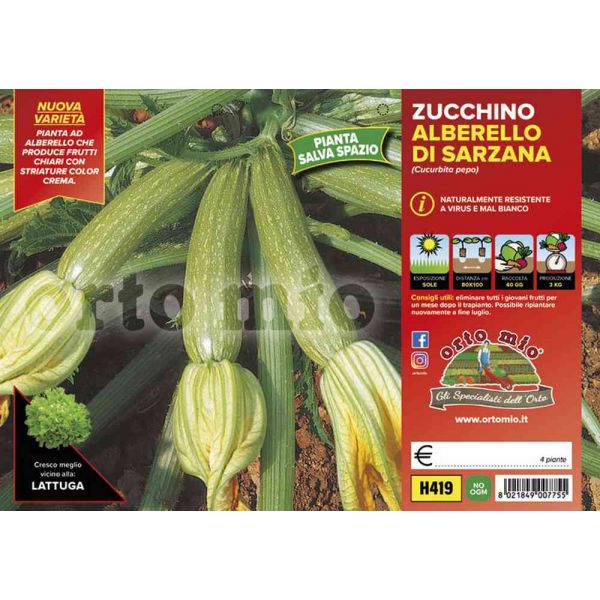 zucchino-alberello-di-sarzana-8021849007755