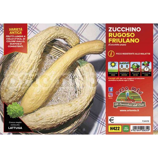zucchino-rugoso-friulano-8021849008349