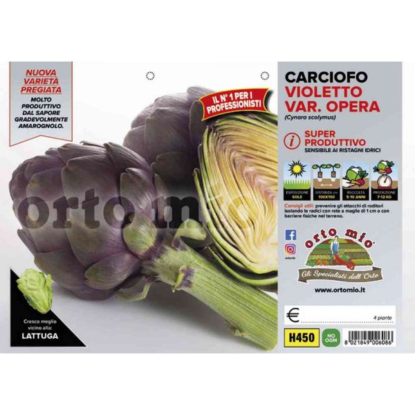 carciofo-violetto-opera-8021849006086