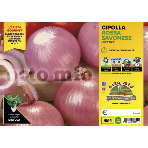 cipolle-rossa-savonese-8021849007991