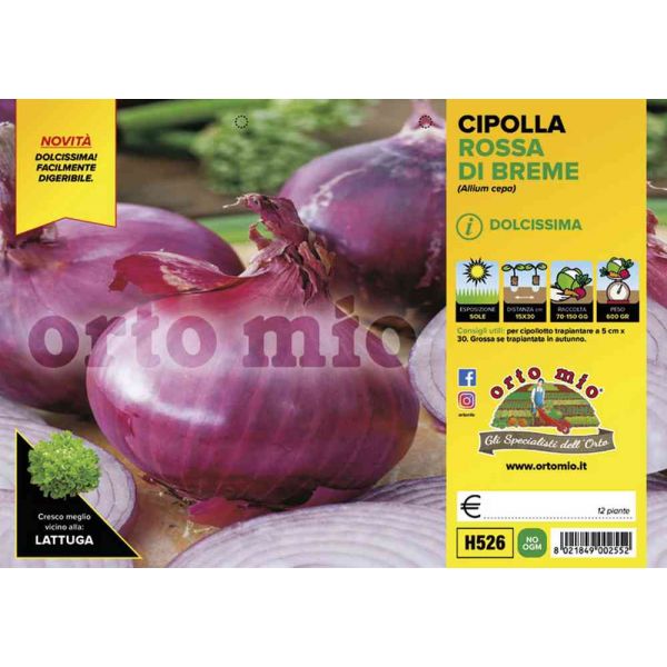 cipolle-rossa-di-breme-8021849002552