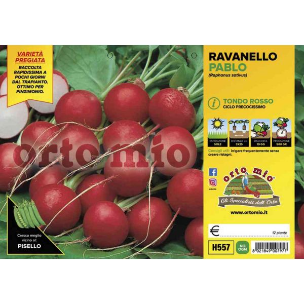 ravanello-tondo-rosso-pablo-8021849007977