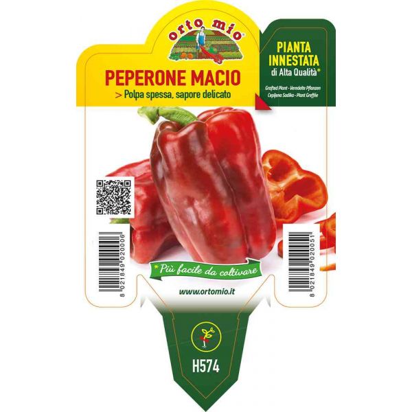 peperone-innestato-rosso-macio-8021849020051