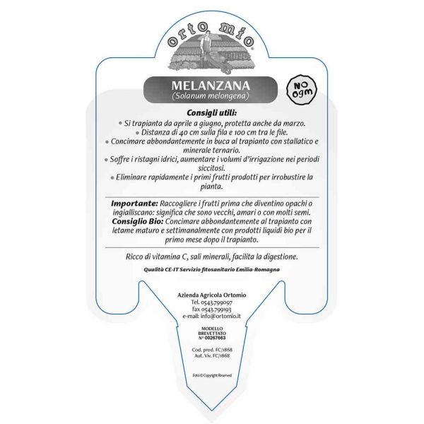 istruzioni melanzana-bianca-clara-8021849005355