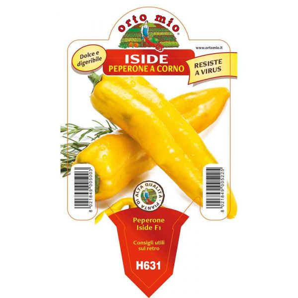 peperone-corno-giallo-iside-8021849005225