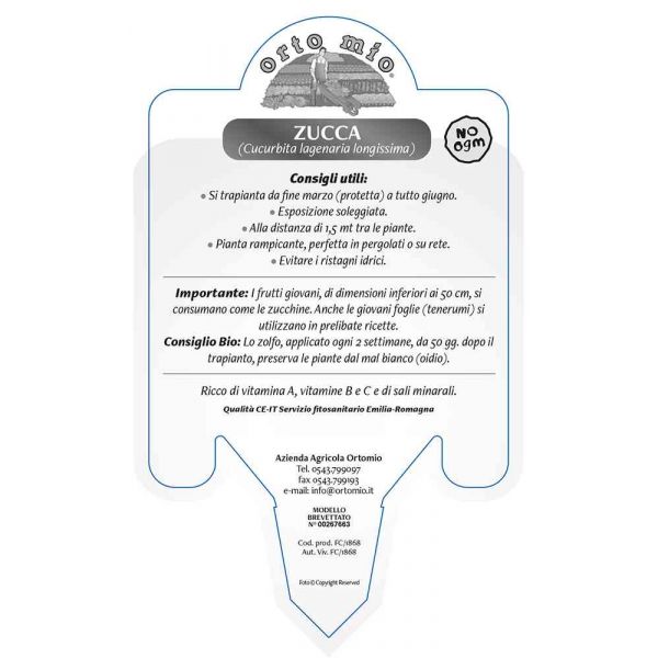 istruzioni zucca-siciliana-da-pergola-8021849005638