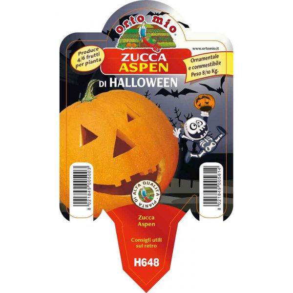 zucca-halloween-aspen-8021849005614